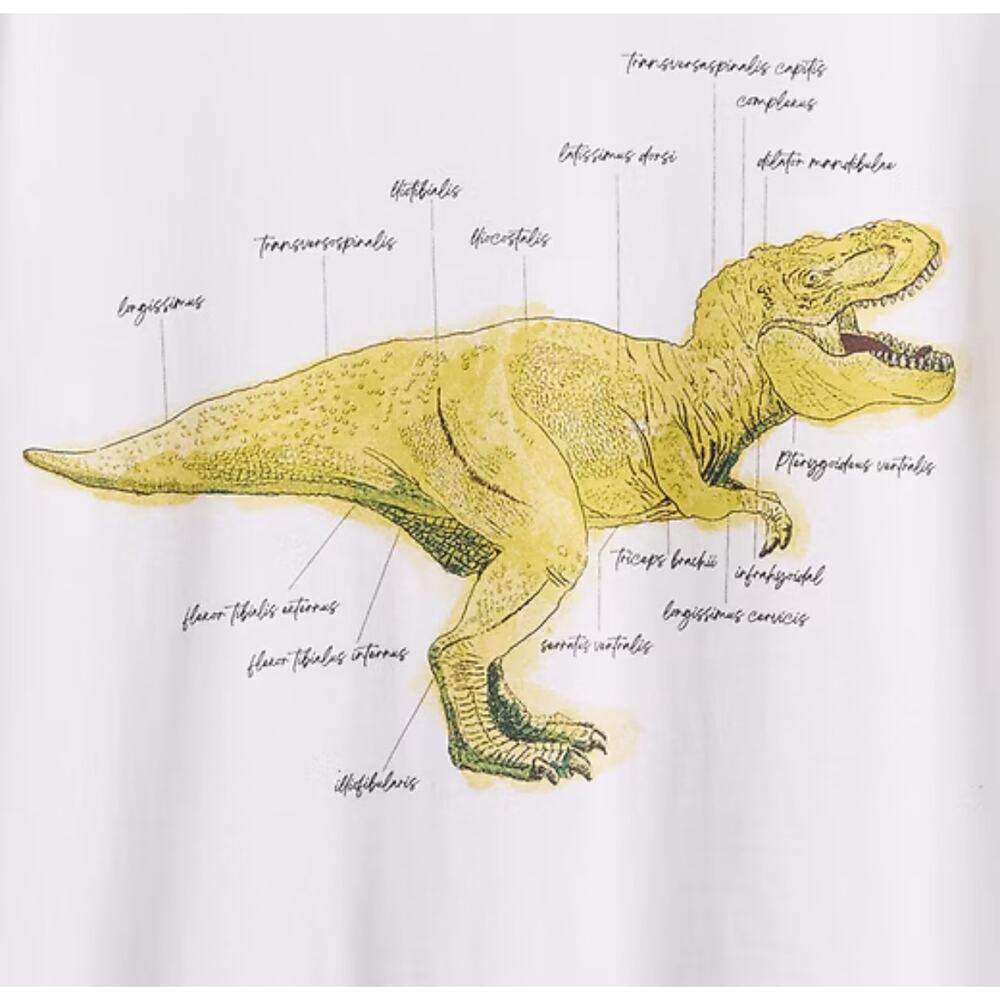 Gap Kids Graphic T Shirt Size XXL 100% Organic Cotton Dinosaur Optic White - Picture 2 of 4